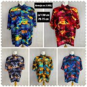 LINE_ALBUM_KEMEJA PANTAI_221105_0